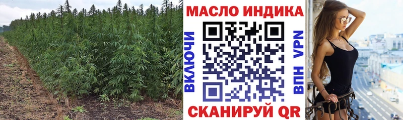 Купить закладки  Мурино  ТГК THC oil 