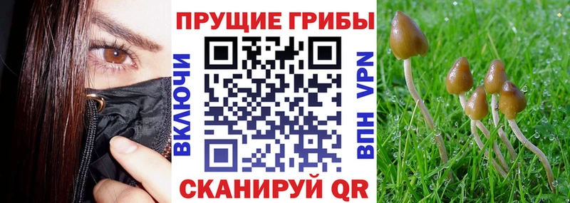 Галлюциногенные грибы Magic Shrooms  Купить закладки  Мурино 